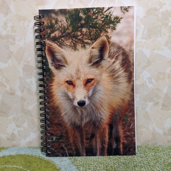 5x8 Red Fox Lined 150 Page Notebook Journal - Picture 1 of 9